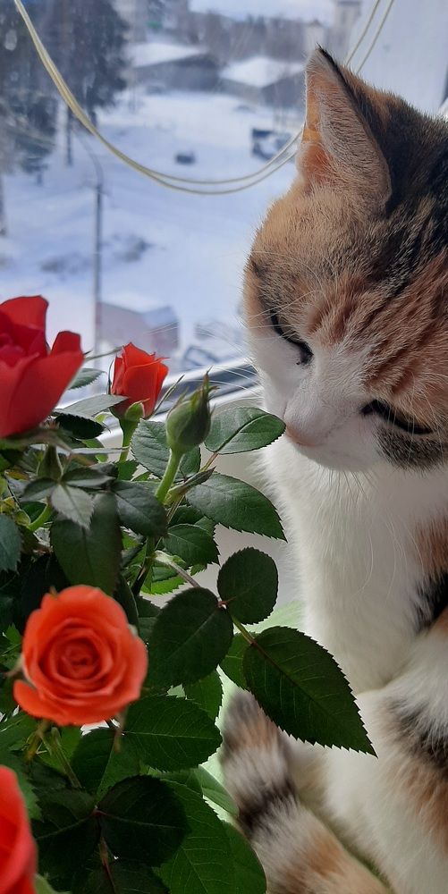 Фотография автора Мария