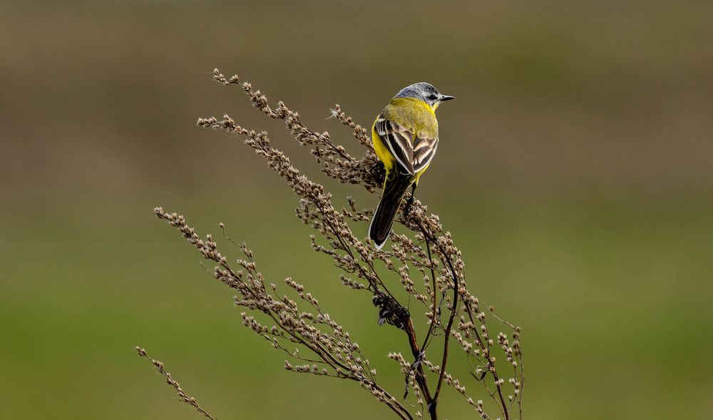 Photograph by Vladimir Voronyuk