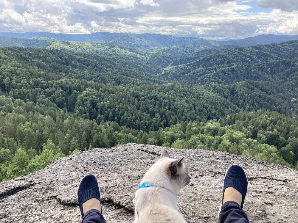 Photograph by Наталья Пасечко