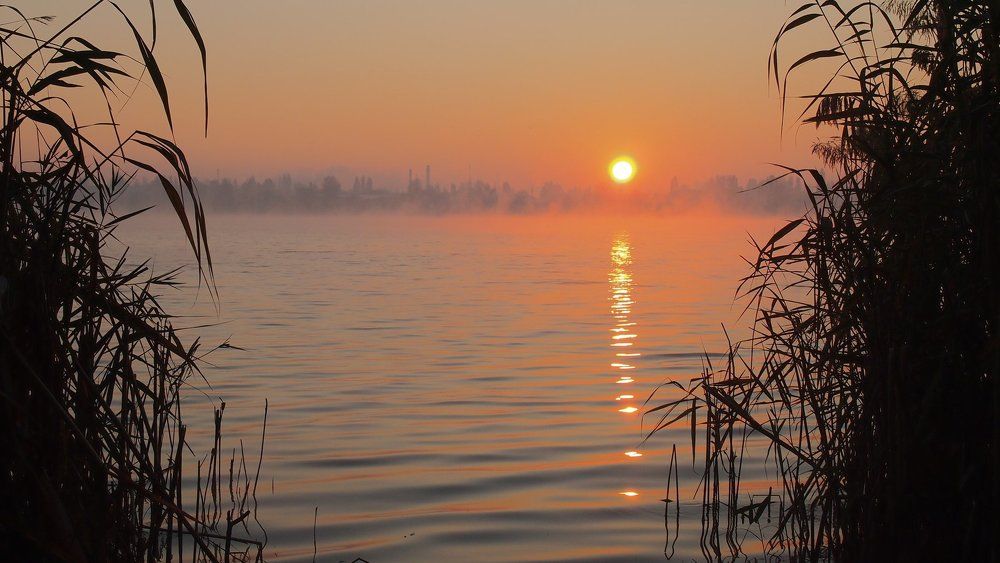 Photograph by Виталий Салюк