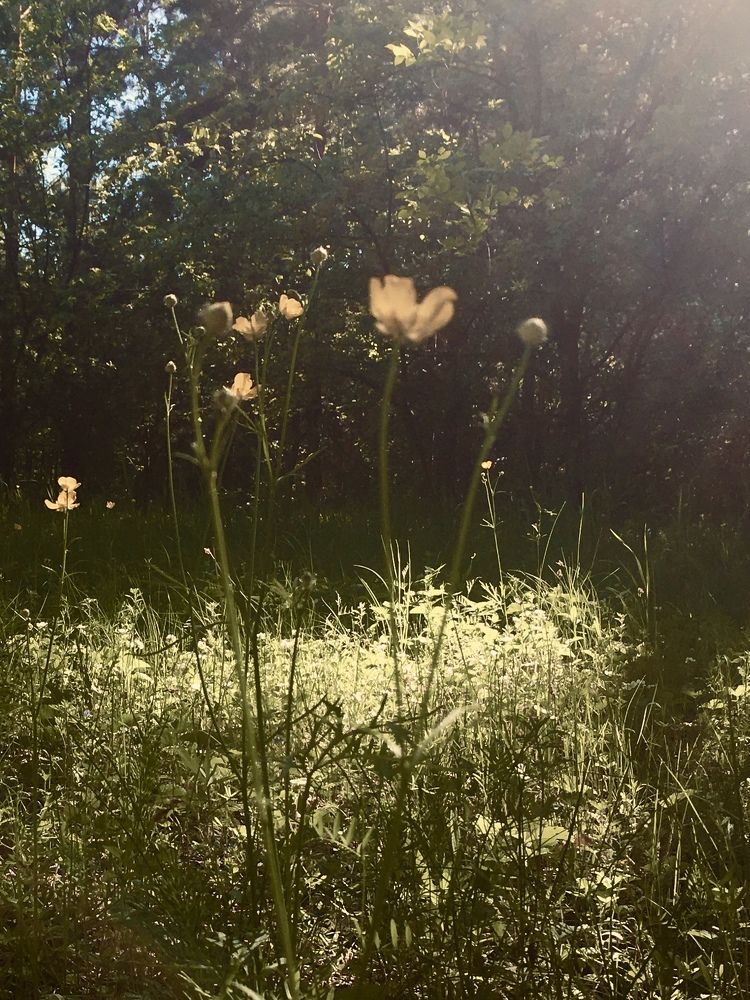 Фотография автора Балановская Виктория