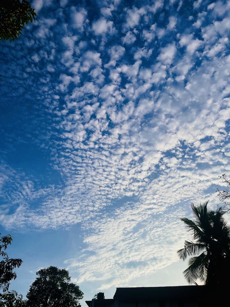 Photograph by Shamal lakshan