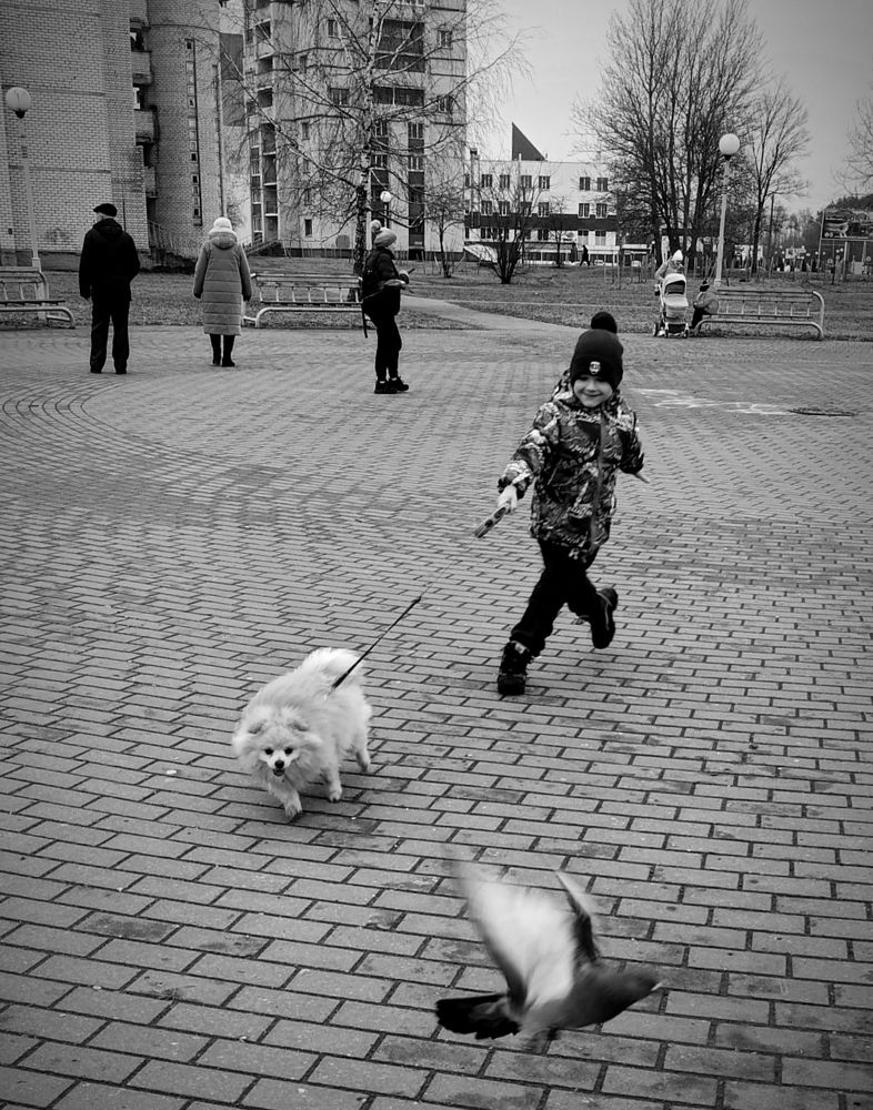 Фотография автора Светлана Таркан