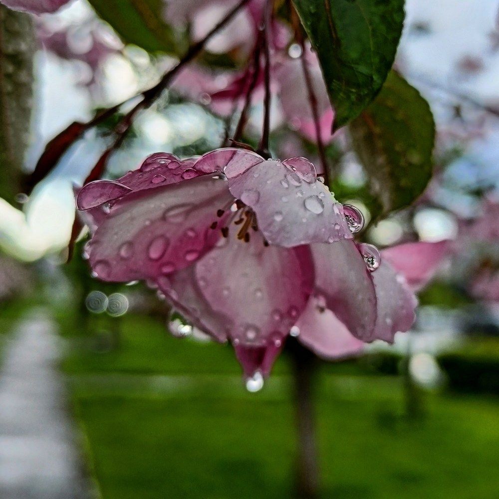 Фотография автора Анастасия Горбачева