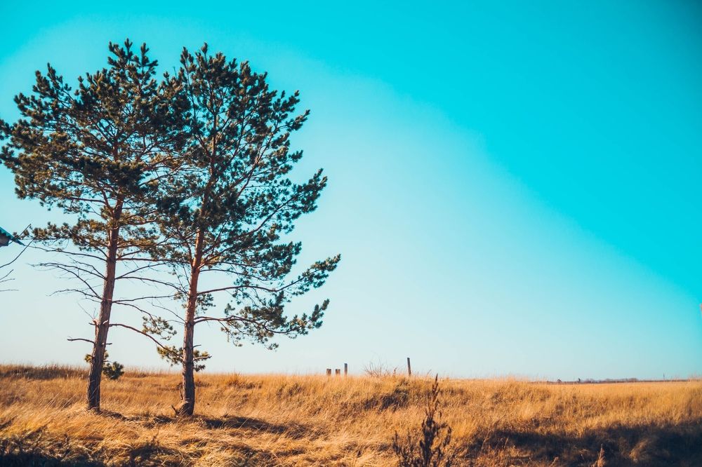 Фотография автора Иван Карпов