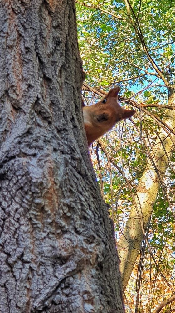 Фотография автора Иван Карпов