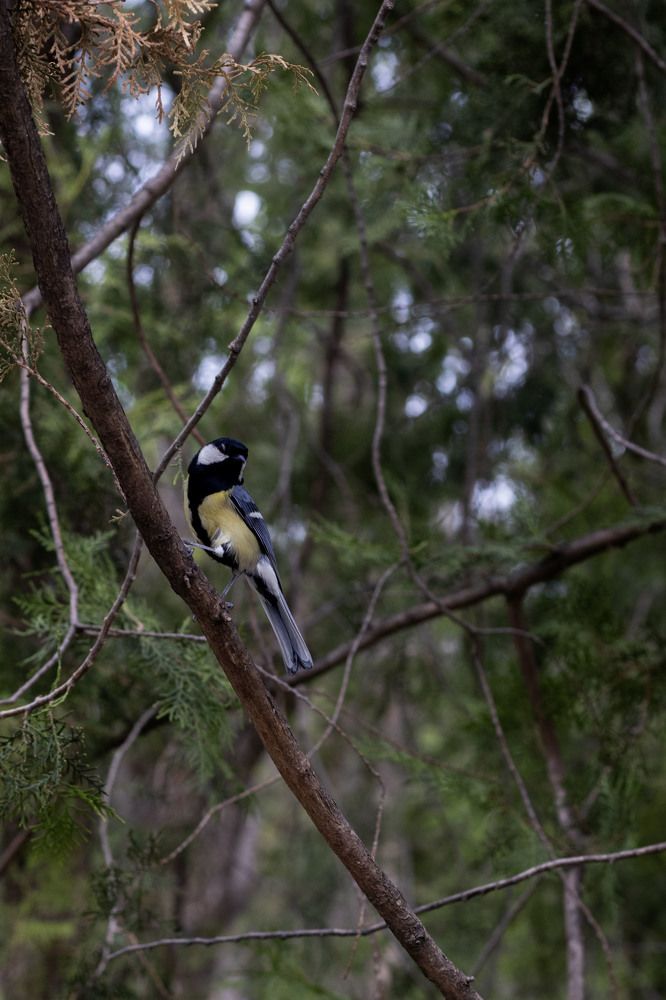 Фотография автора Ксения Золотарь