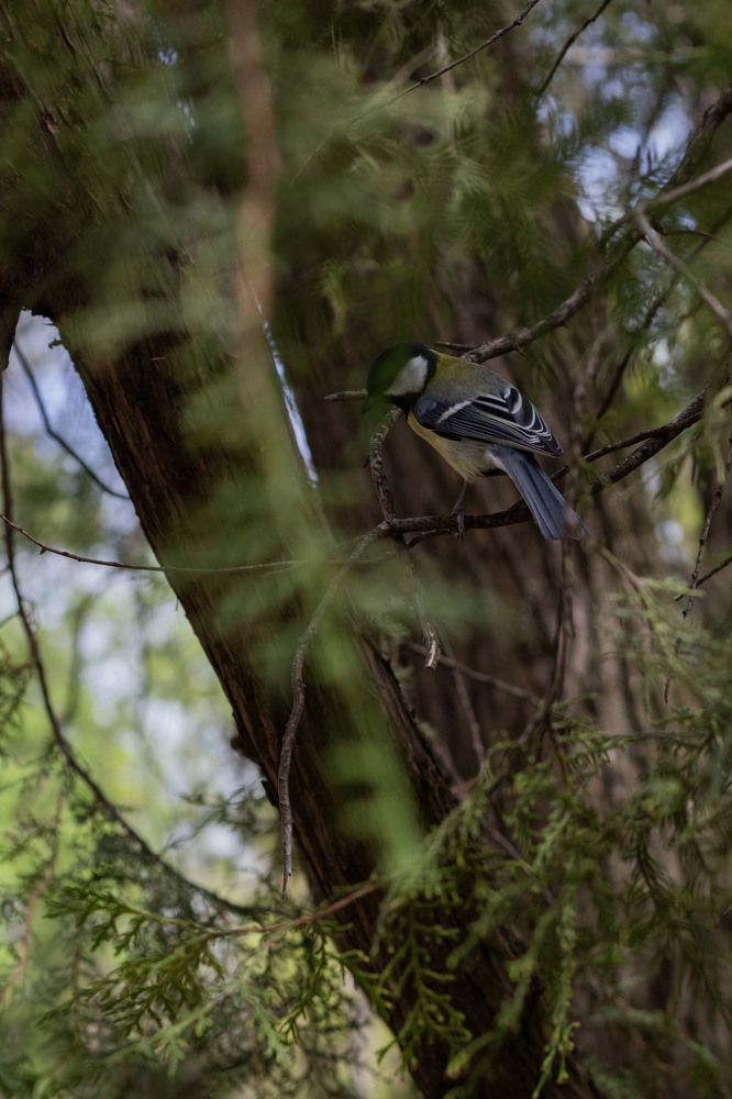 Фотография автора Ксения Золотарь