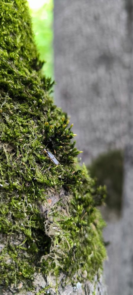 Photograph by Арсений