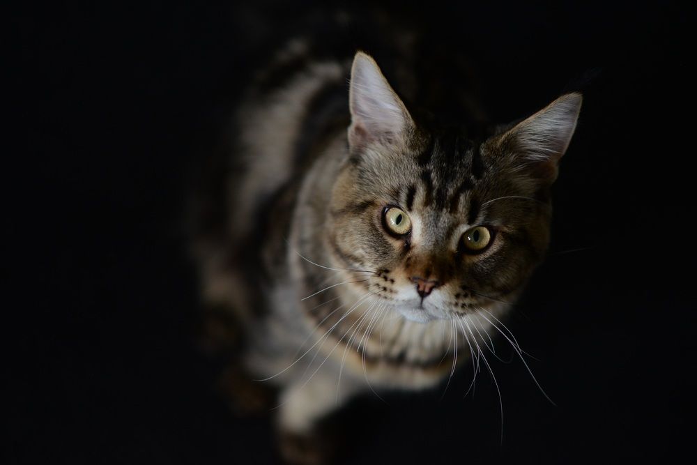 Photograph by Юлия