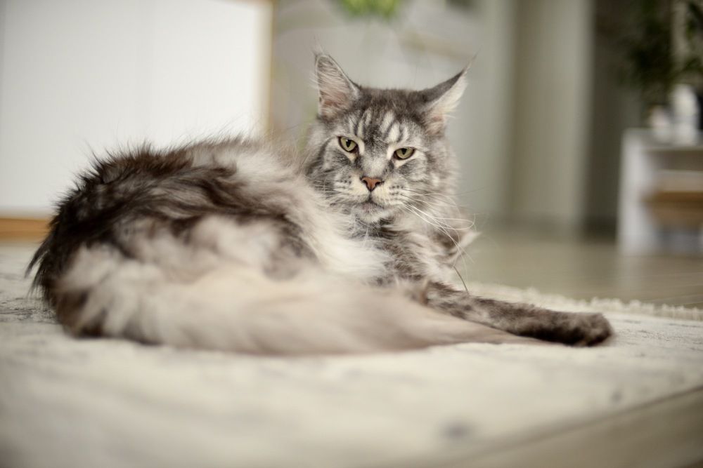 Photograph by Юлия