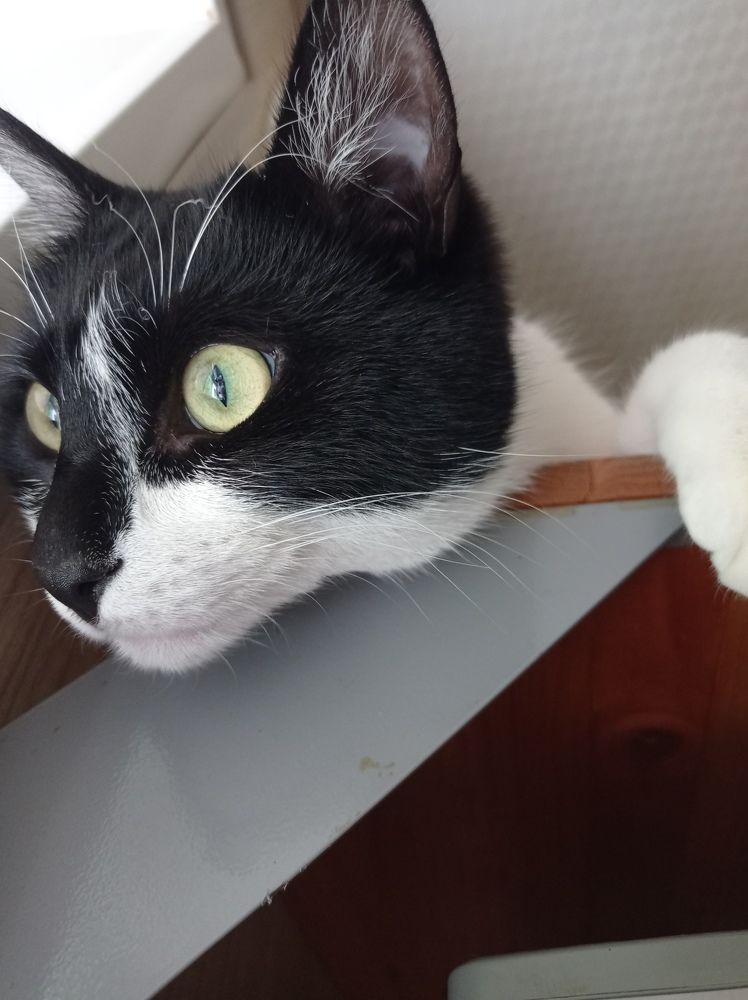 Photograph by Евгения Семёнова