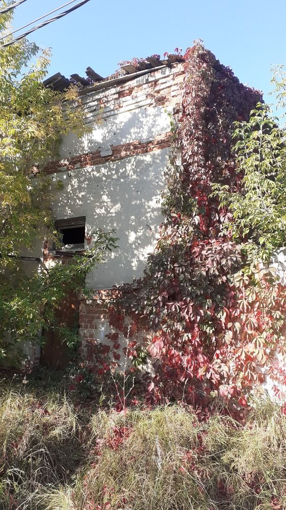 Фотография автора Елена Лещева