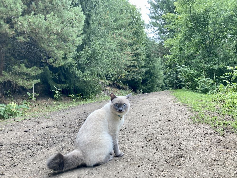 Photograph by Наталья Пасечко