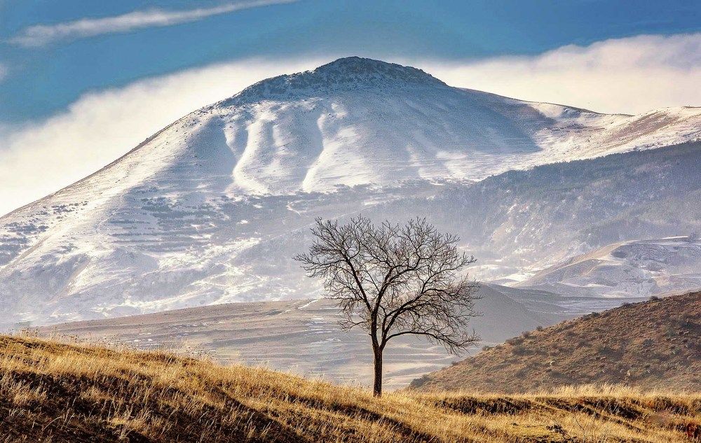 Фотография автора Сергей Метелица