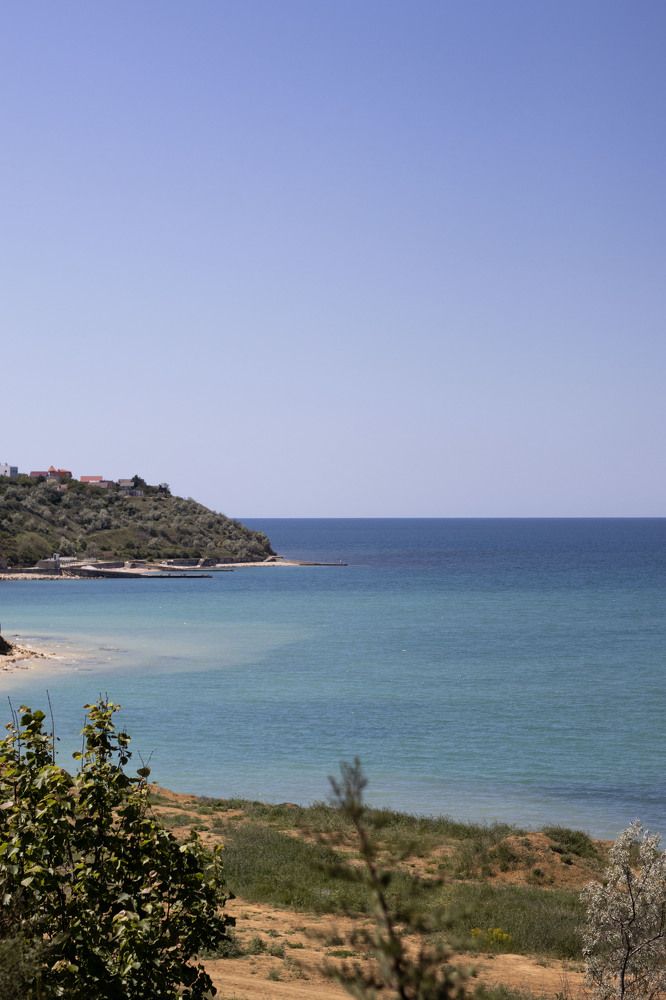 Фотография автора Ксения Золотарь