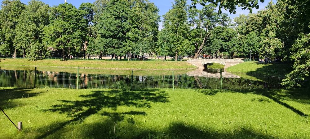 Фотография автора Александр