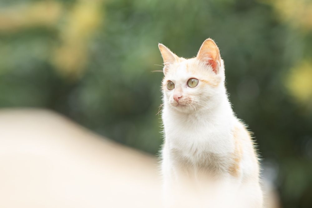 Photograph by Bùi Nguyễn