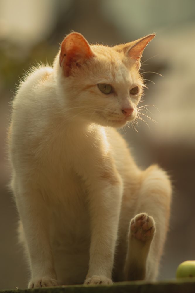 Photograph by Bùi Nguyễn