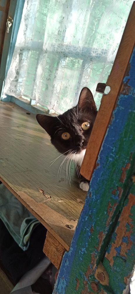 Photograph by Виорика Фоменко