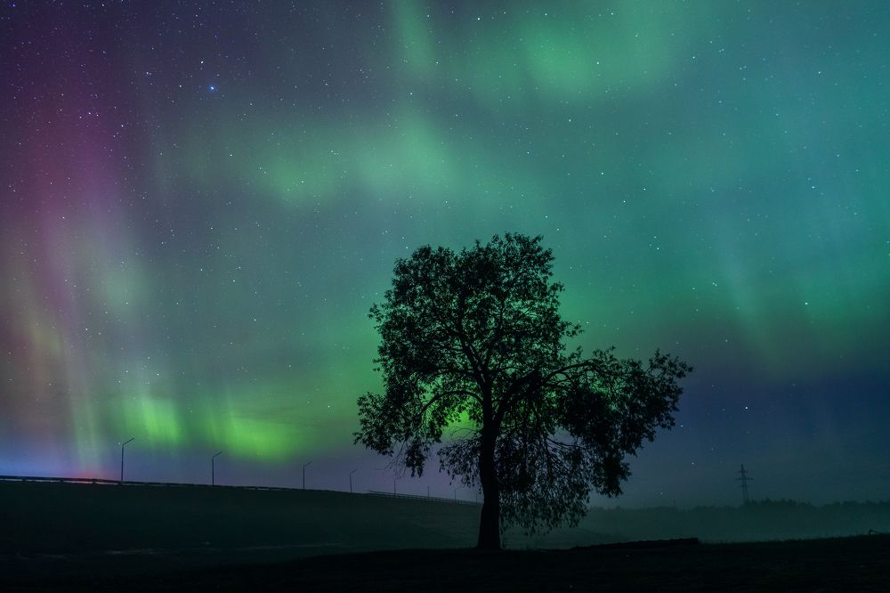 Photograph by Денис Корякин