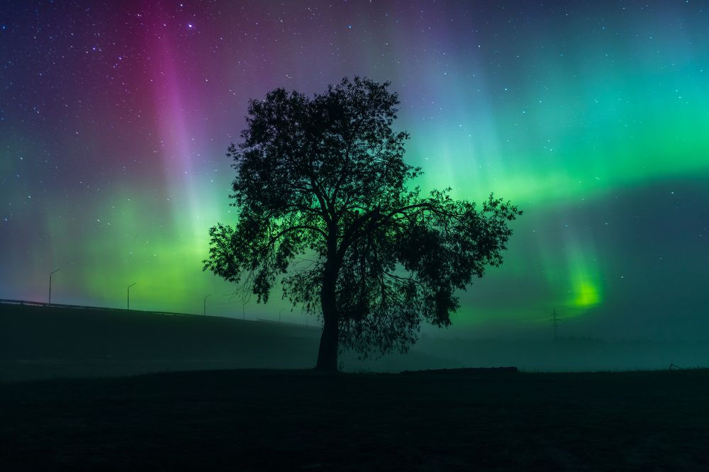 Photograph by Денис Корякин