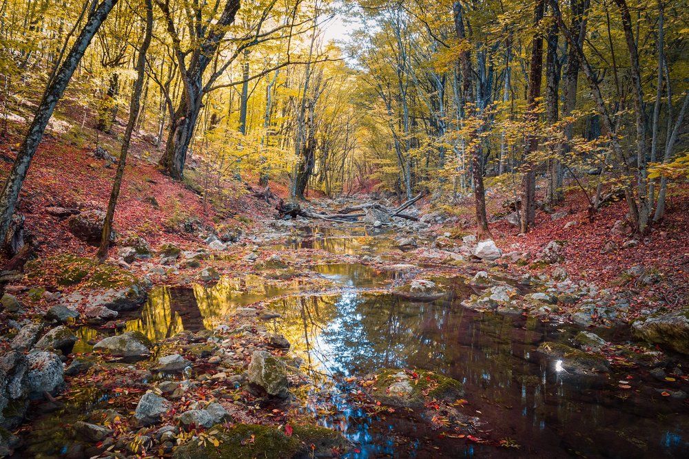 осень в Крыму