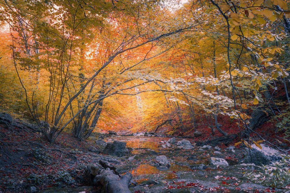 осень в Крыму