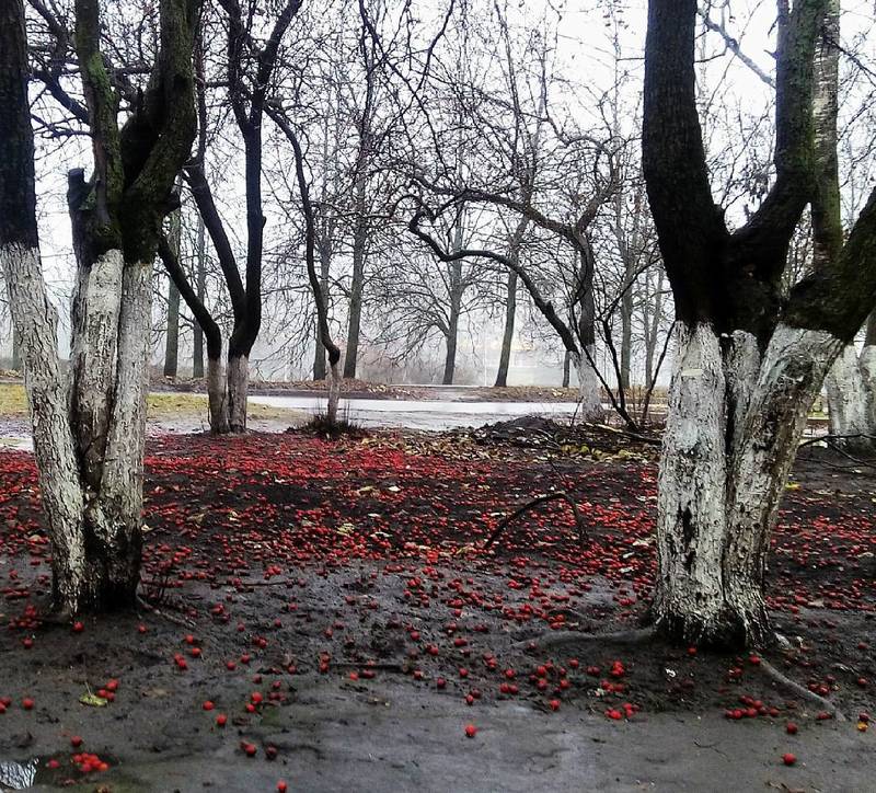Margarita, Russia