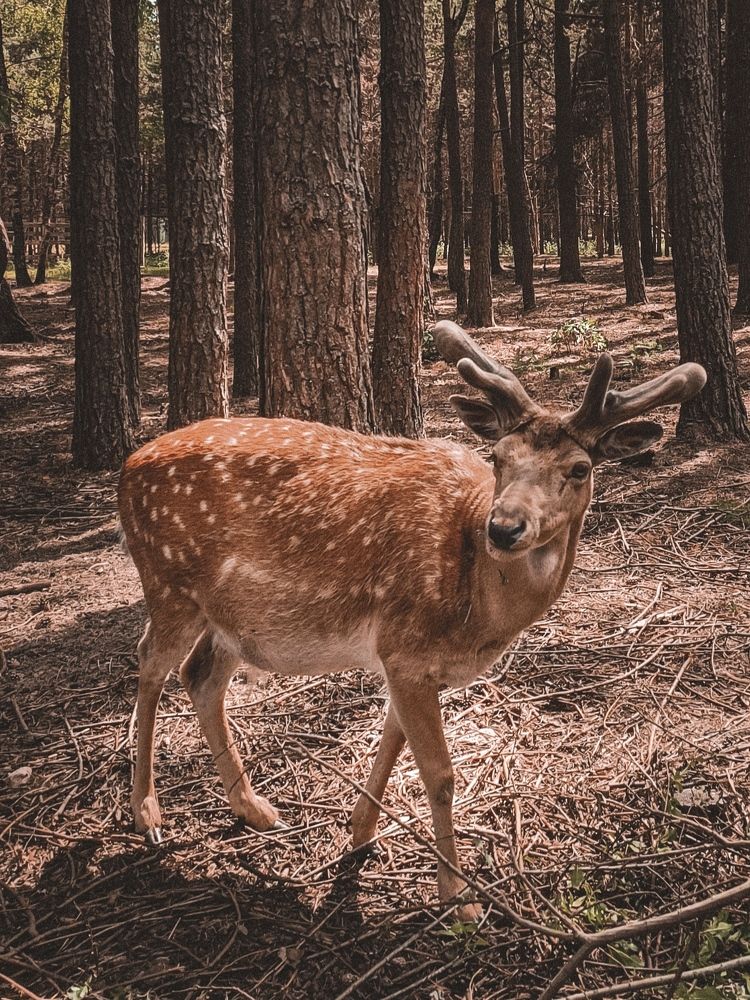 Photograph by Виктория