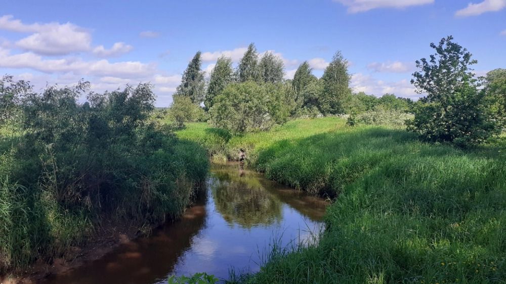 Фотография автора Елена Лещева