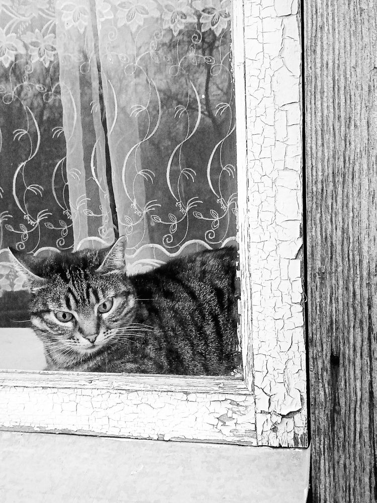 Photograph by Светлана Зубанова