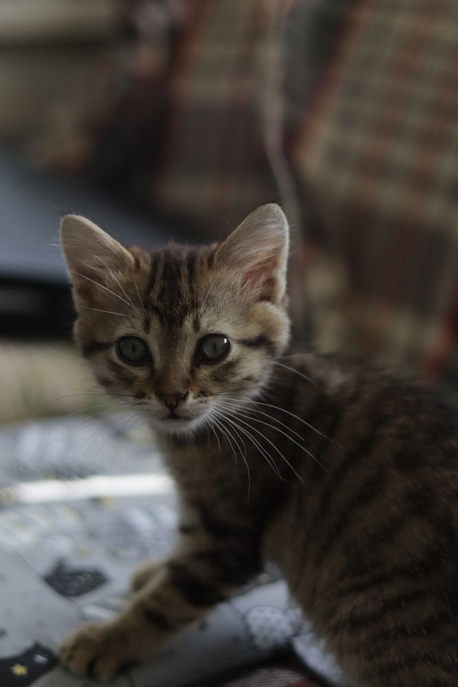 Фотография автора Ксения Золотарь