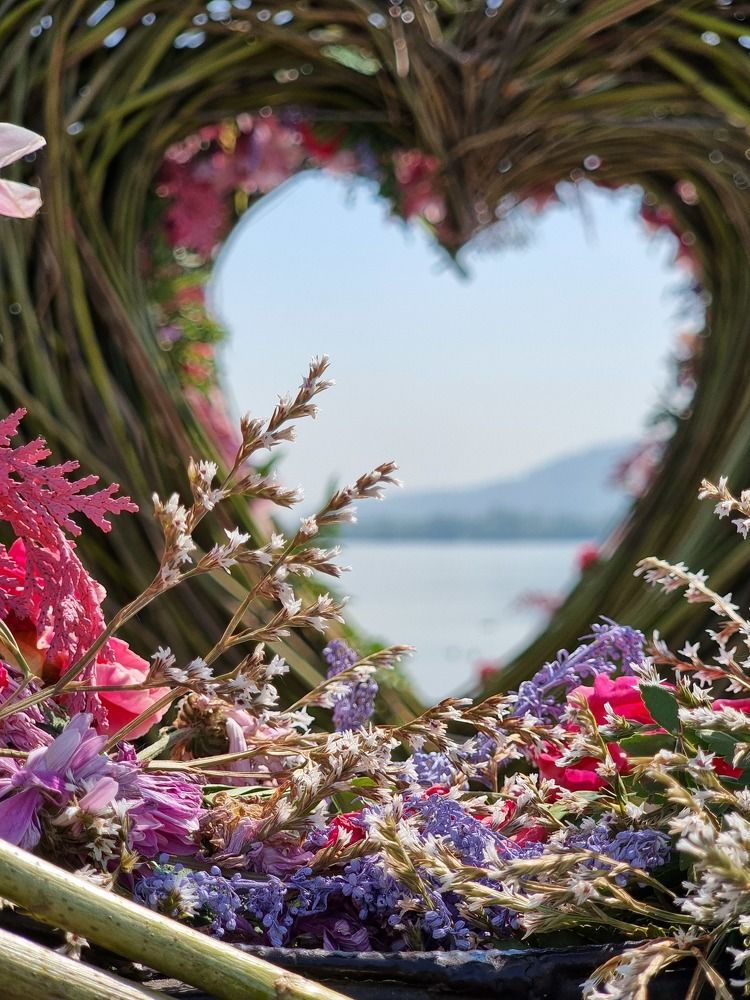 Фотография автора Лилия Шарифуллина