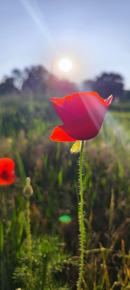Photograph by Евгения Чернова
