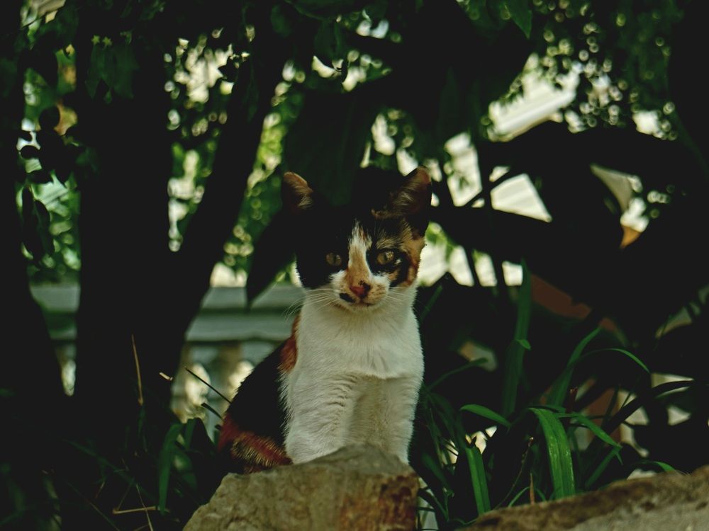 Photograph by Боков Дмитрий