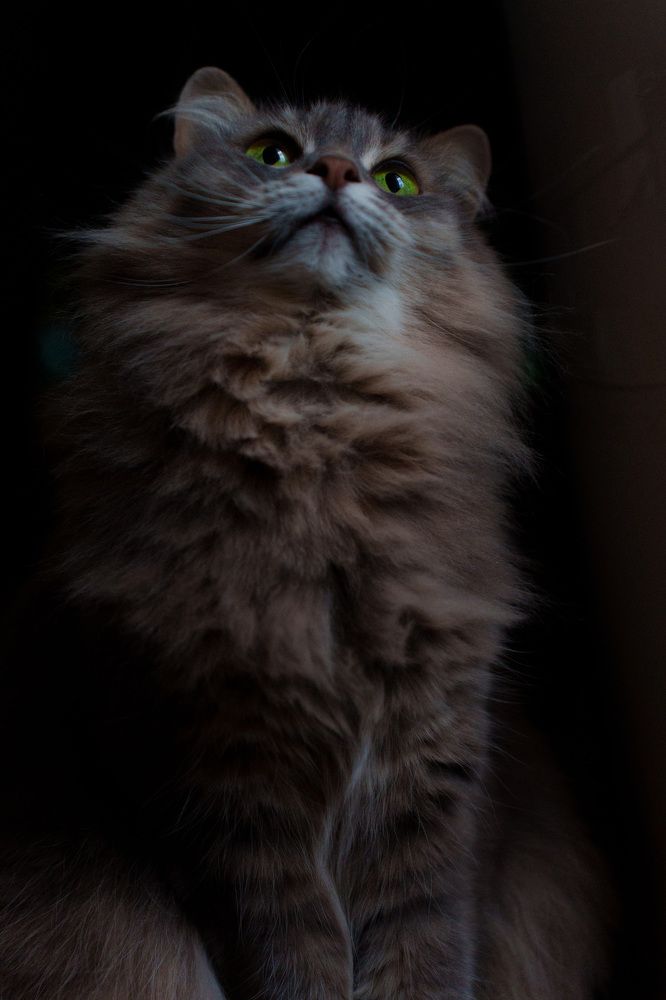 Photograph by Ирина Троицкая