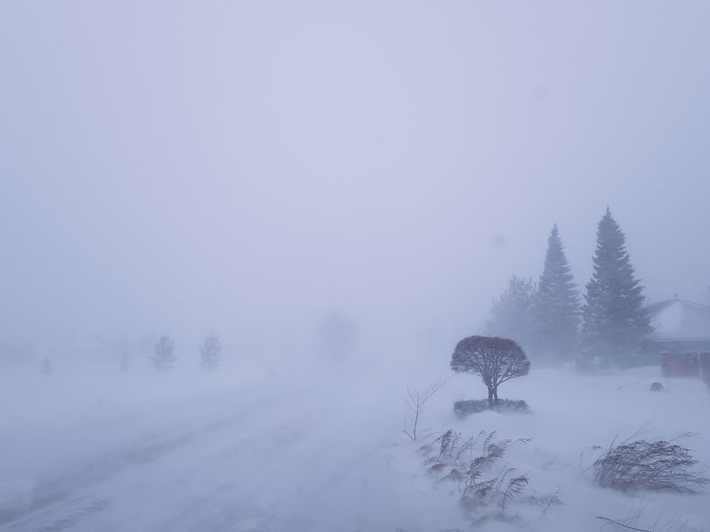 Photograph by Юлия Гринвальд