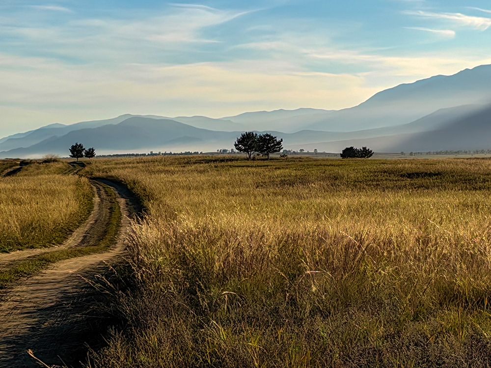 Фотография автора Марина Корреа Ластра