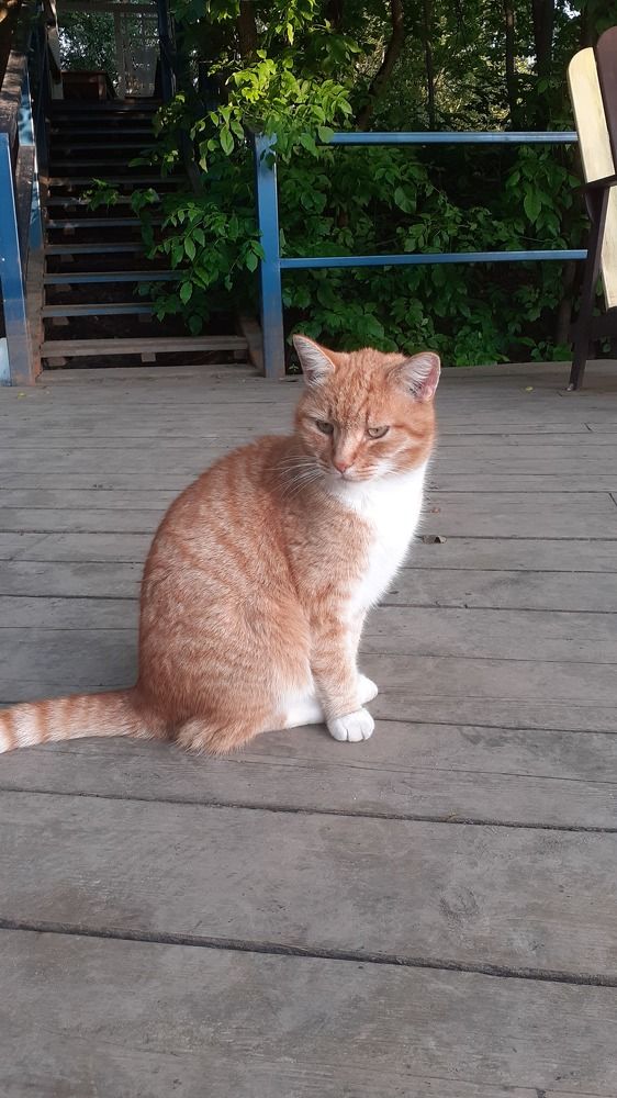 Фотография автора Елена Лещева