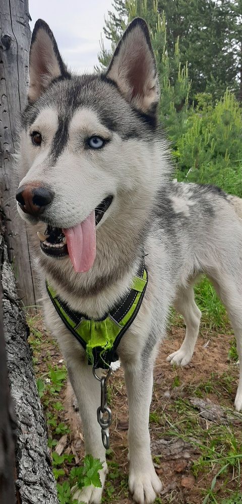 Фотография автора Мария