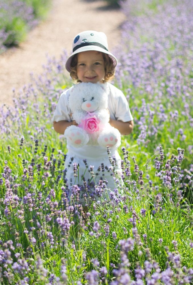 Photograph by Виорика Фоменко