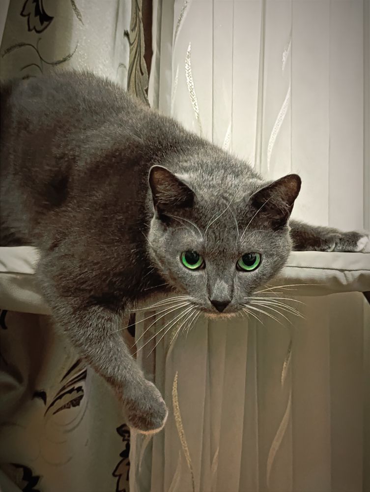 Фотография автора Светлана Таркан