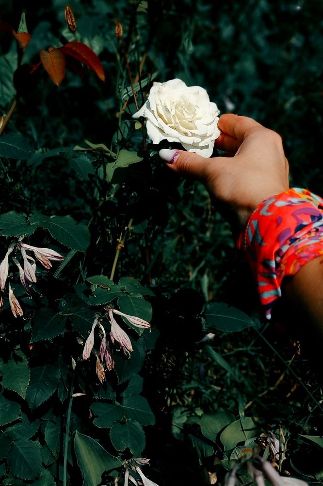 Photograph by Ирина