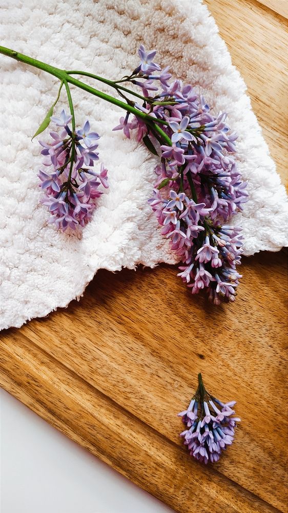 Photograph by Ирина