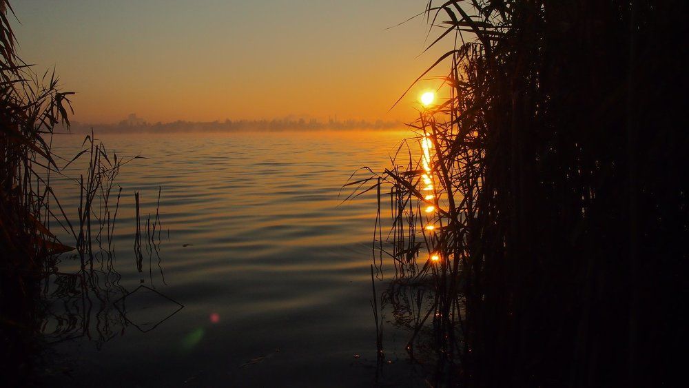 Photograph by Виталий Салюк