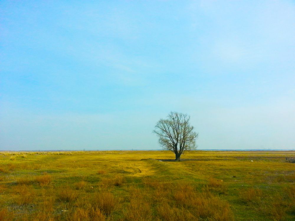 Фотография автора Динара Каймиденова