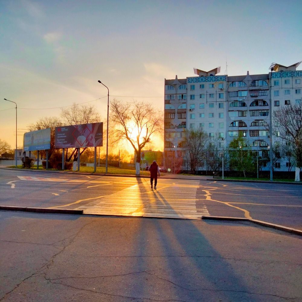 Дерево в лучах рассвета