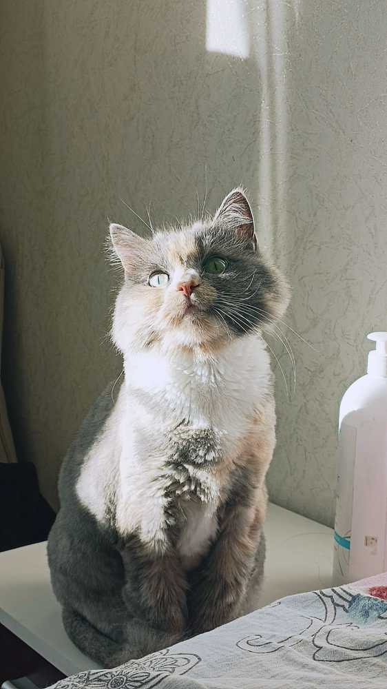 Фотография автора Динара Каймиденова