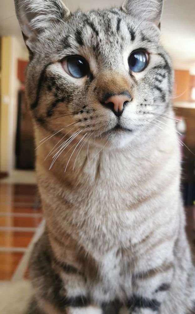 Photograph by Blanca Málaga